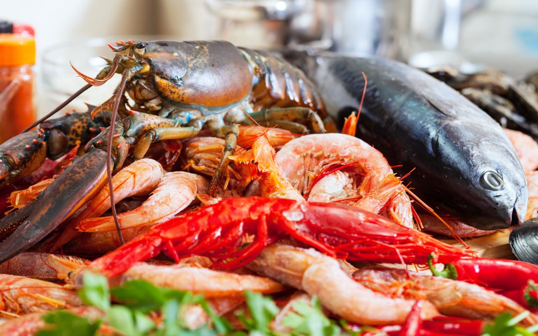 Seafood Lovers’ Guide: What to Eat Along Chile’s Coast
