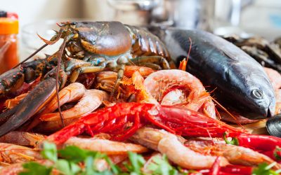 Seafood Lovers’ Guide: What to Eat Along Chile’s Coast